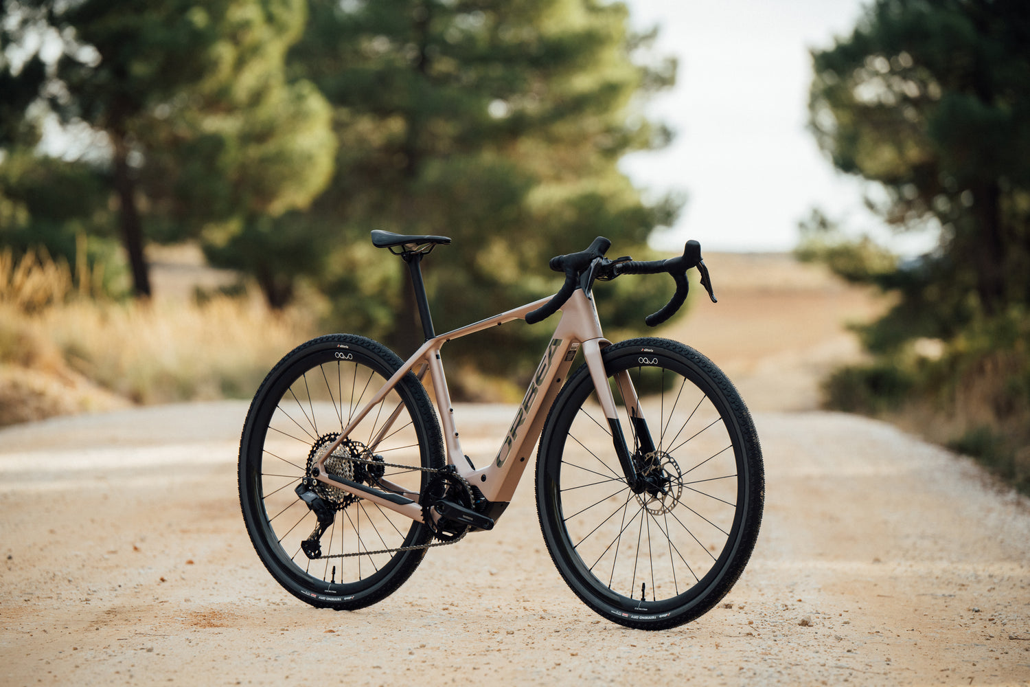 Orbea Denna rafmagnsmalarhjól uppstyllt á malarvegi, með tré í kringum sig