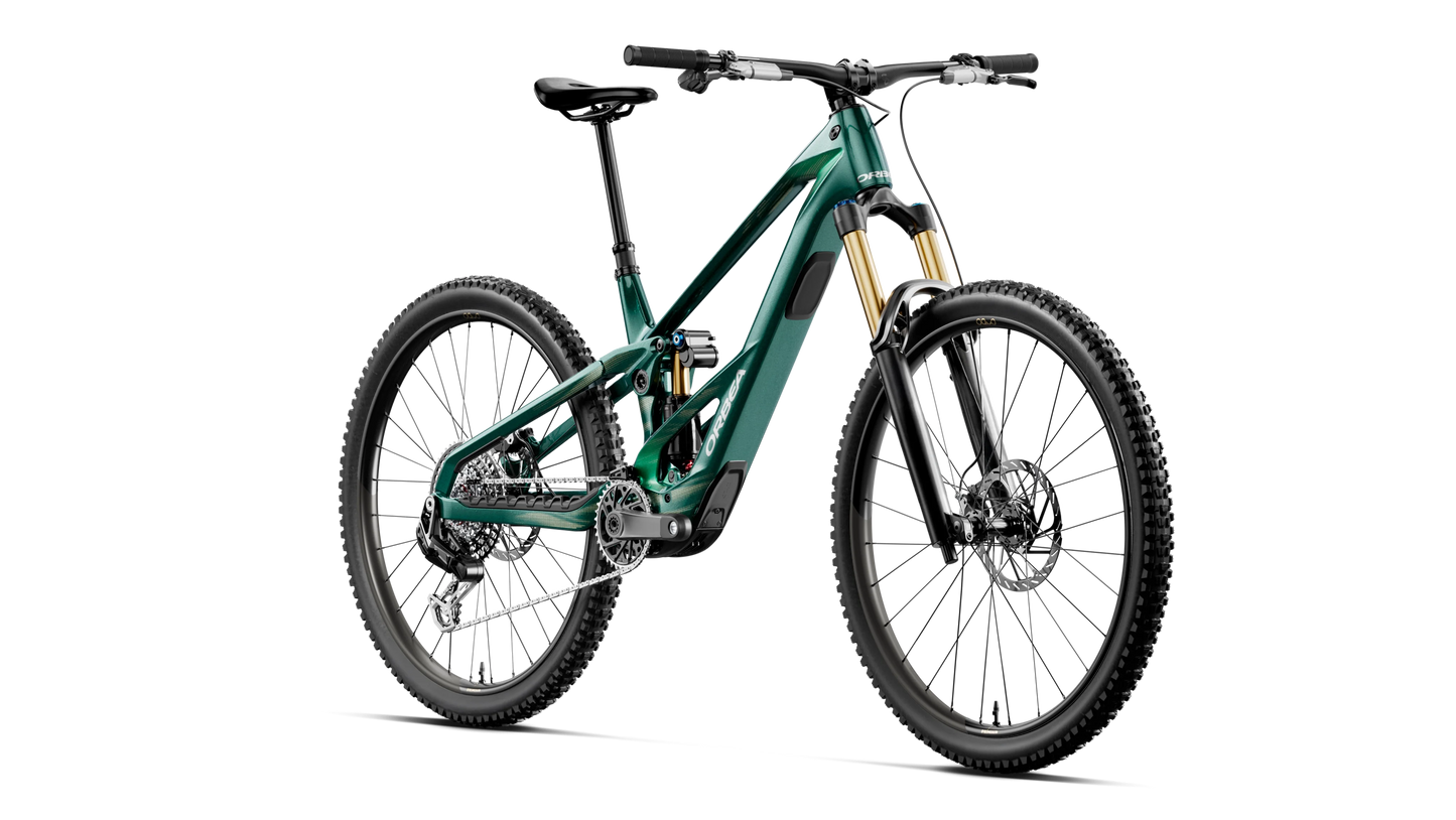WILD LT M-LTD RS Mullet 2027