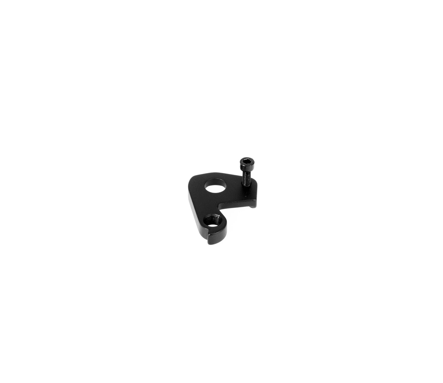 Rear Derailleur Hanger Y0000120